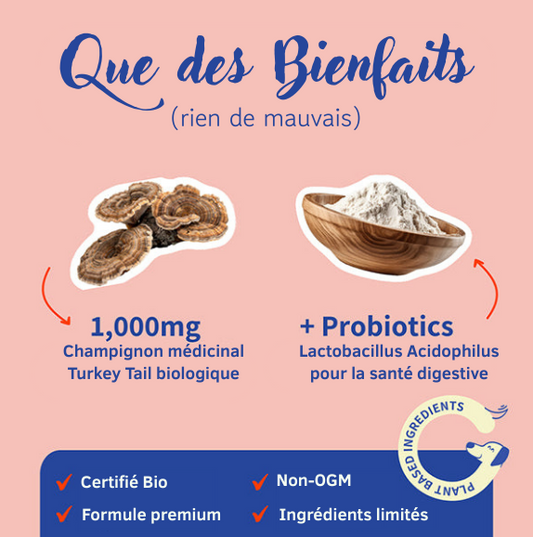 POILULU Vitalité+ | Complément naturel Probiotiques & Champignon médicinal