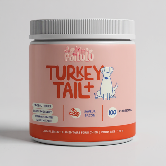 POILULU Vitalité+ | Complément naturel Probiotiques & Champignon médicinal